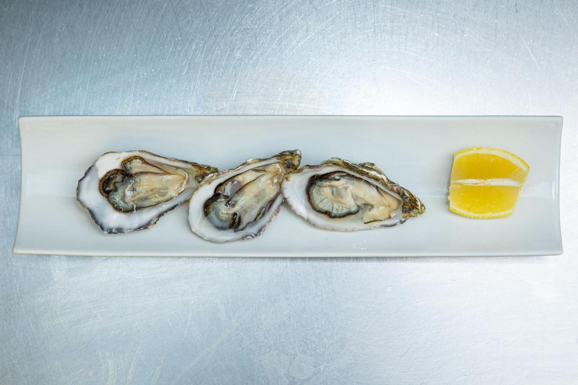 Ashes Seafood Restaurant Accommodation Dingle Exteriör bild