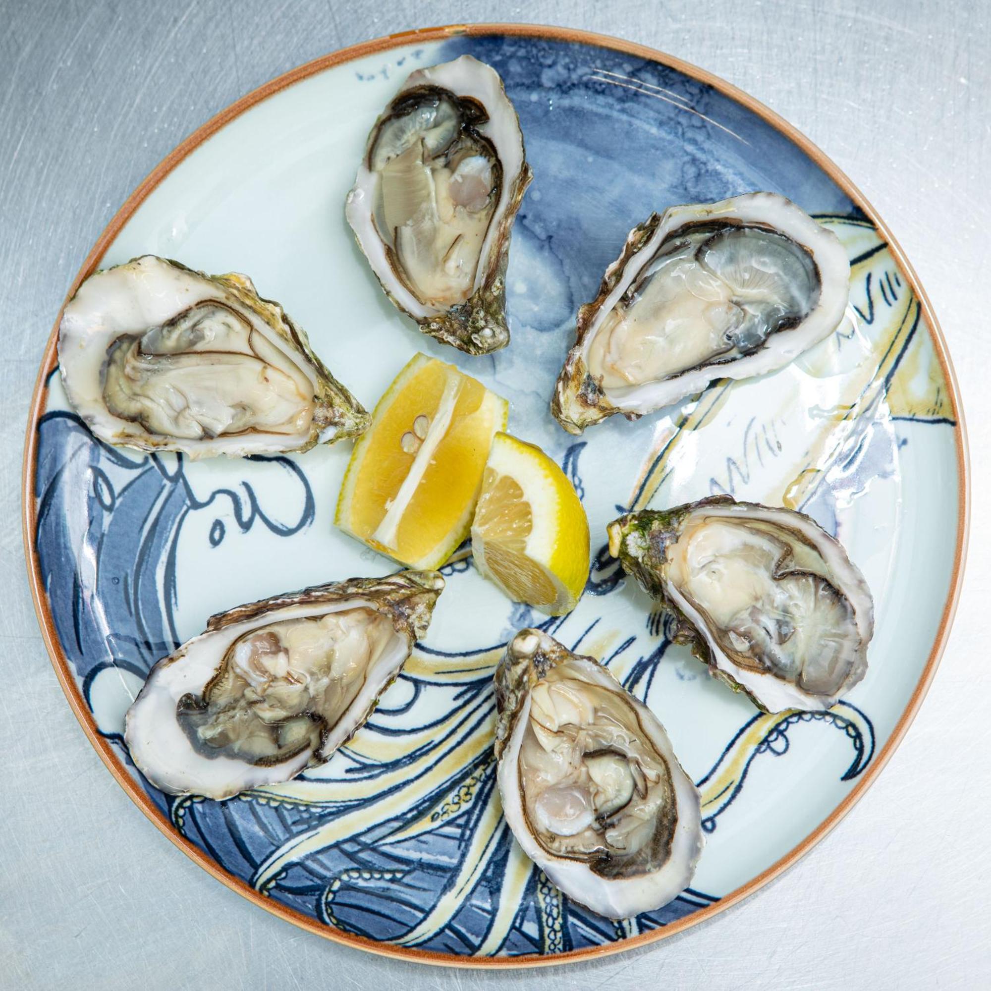 Ashes Seafood Restaurant Accommodation Dingle Exteriör bild